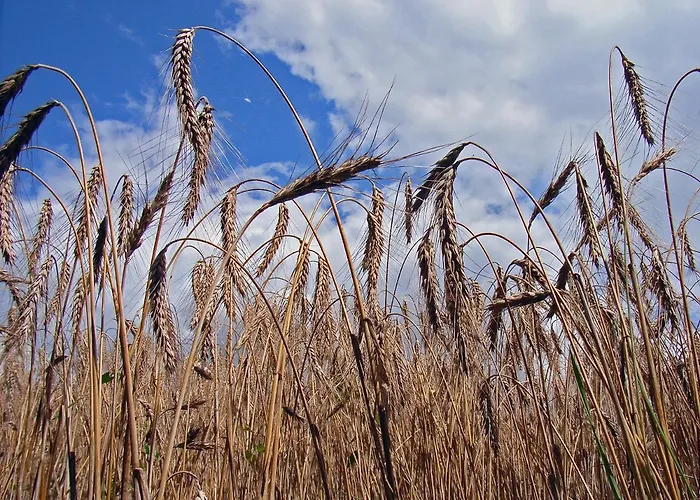 Haus Saskia Wutha-Farnroda